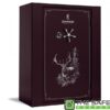 Browning Platinum Plus PP65T Gun Safe